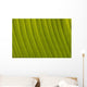 Morocco, Detail of leaf in the gardens of La Mamounia Hotel Wall Mural