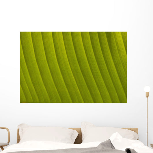 Morocco, Detail of leaf in the gardens of La Mamounia Hotel Wall Mural
