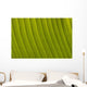 Morocco, Detail of leaf in the gardens of La Mamounia Hotel Wall Mural