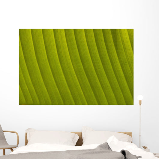 Morocco, Detail of leaf in the gardens of La Mamounia Hotel Wall Mural
