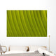 Morocco, Detail of leaf in the gardens of La Mamounia Hotel Wall Mural