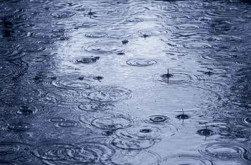 Raining Wall Decal