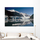 Cascade & Barry Glaciers Prince William Sound Ak Southcentral Wall Mural
