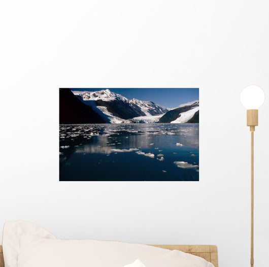 Cascade & Barry Glaciers Prince William Sound Ak Southcentral Wall Mural