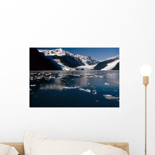 Cascade & Barry Glaciers Prince William Sound Ak Southcentral Wall Mural