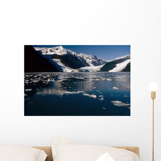 Cascade & Barry Glaciers Prince William Sound Ak Southcentral Wall Mural