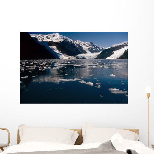 Cascade & Barry Glaciers Prince William Sound Ak Southcentral Wall Mural