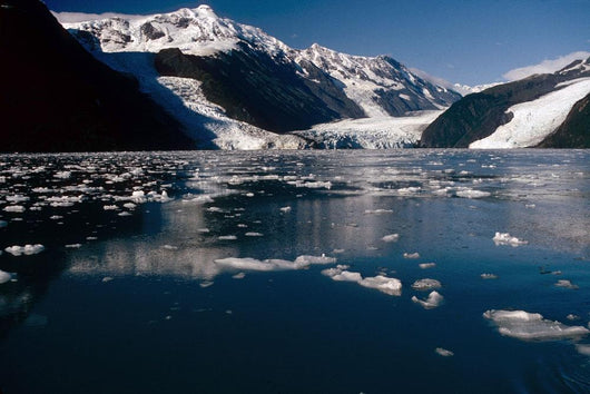 Cascade & Barry Glaciers Prince William Sound Ak Southcentral Wall Mural