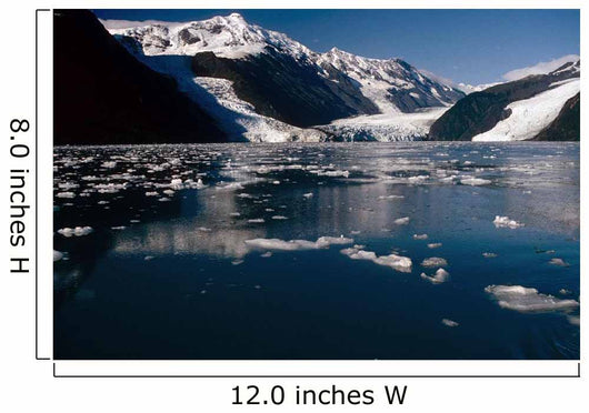 Cascade & Barry Glaciers Prince William Sound Ak Southcentral Wall Mural