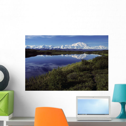 Mt Mckinley Reflected In Tundra Pond Denali Np Ak Wall Mural