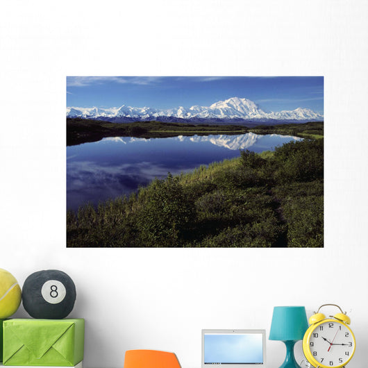 Mt Mckinley Reflected In Tundra Pond Denali Np Ak Wall Mural