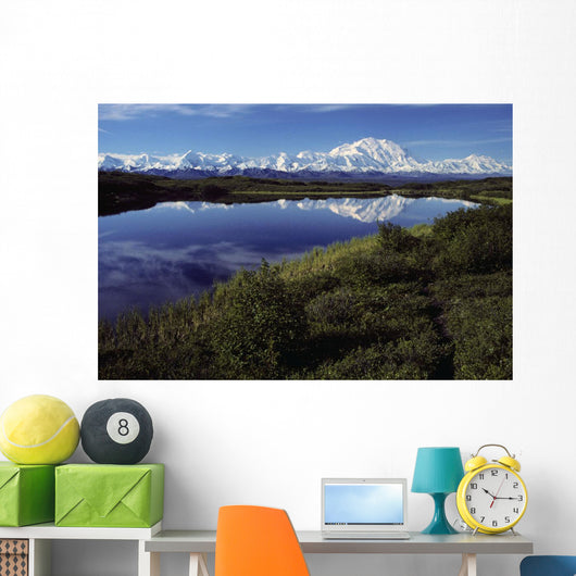 Mt Mckinley Reflected In Tundra Pond Denali Np Ak Wall Mural