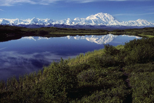 Mt Mckinley Reflected In Tundra Pond Denali Np Ak Wall Mural
