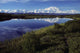 Mt Mckinley Reflected In Tundra Pond Denali Np Ak Wall Mural