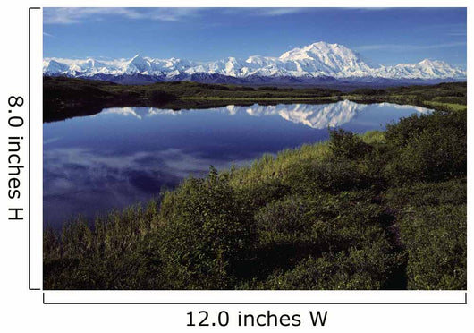 Mt Mckinley Reflected In Tundra Pond Denali Np Ak Wall Mural