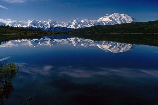 Mt Mckinley Reflected In Wonder Lk Denali Np Ak Wall Mural
