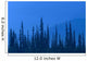 Spruce Trees In Haze From Forest Fire In Ak Summer/Nsouth Of Fairbanks Wall Mural