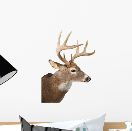 Large Whitetail Buck White Wall Decal Design 2