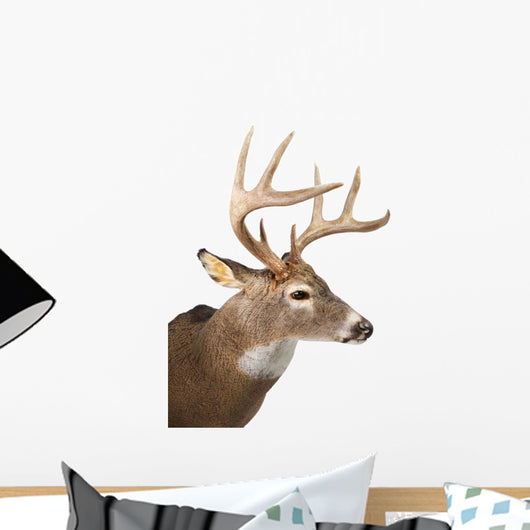 Large Whitetail Buck White Wall Decal Design 2
