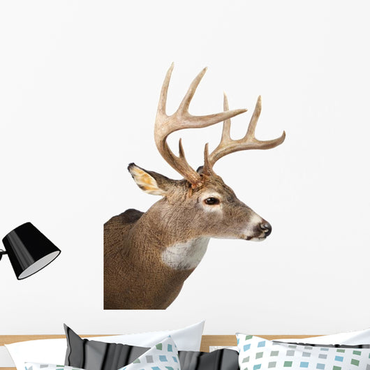 Large Whitetail Buck White Wall Decal Design 2