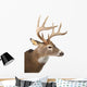 Large Whitetail Buck White Wall Decal Design 2