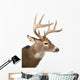Large Whitetail Buck White Wall Decal Design 2