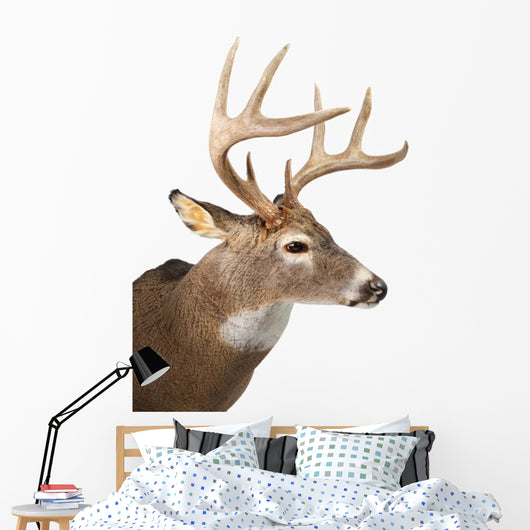 Large Whitetail Buck White Wall Decal Design 2