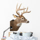Large Whitetail Buck White Wall Decal Design 2