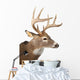 Large Whitetail Buck White Wall Decal Design 2