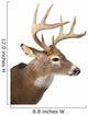 Large Whitetail Buck White Wall Decal Design 2