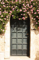 Door with Flowers