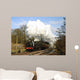 Historic Steam Train Wall Decal