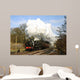 Historic Steam Train Wall Decal