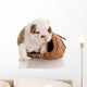 Puppy with Baseball Glove
