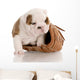 Puppy with Baseball Glove