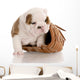 Puppy with Baseball Glove