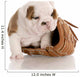 Puppy with Baseball Glove