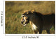 Lioness With Cub Wall Mural