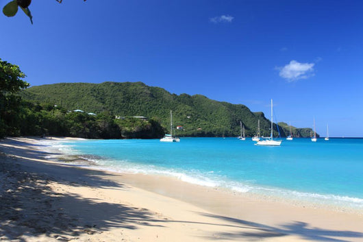 Tropical Beach on Bequia Island Wall Mural