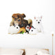 rabbit, dog, cat and parrot Wall Decal