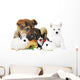 rabbit, dog, cat and parrot Wall Decal