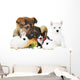 rabbit, dog, cat and parrot Wall Decal