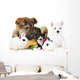 rabbit, dog, cat and parrot Wall Decal