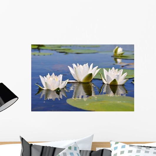 Three Lilies