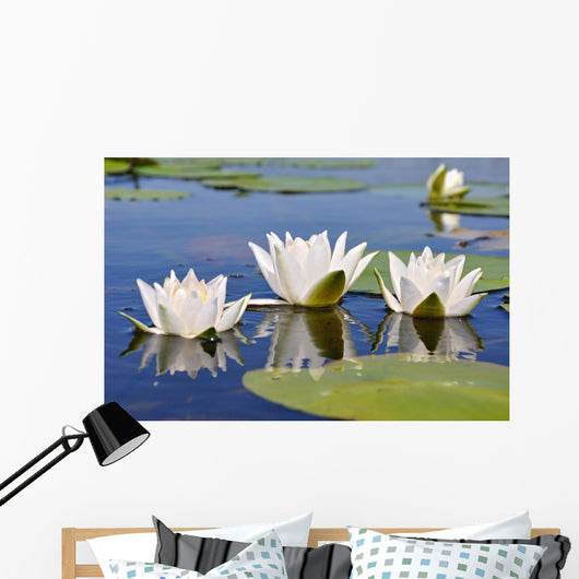 Three Lilies