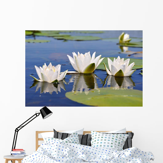 Three Lilies