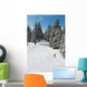 Snowboarder Wall Mural