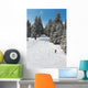 Snowboarder Wall Mural