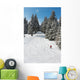 Snowboarder Wall Mural