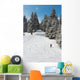 Snowboarder Wall Mural